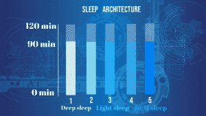 Sleep architecture